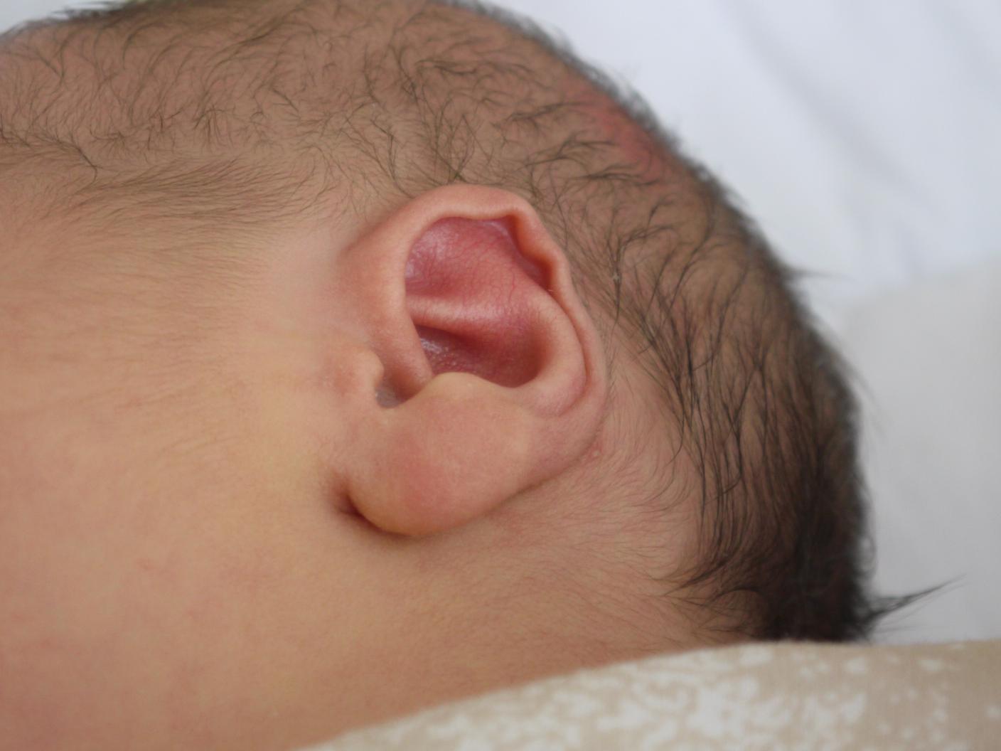 La Vita Con Pome Chimu Maggio 2012