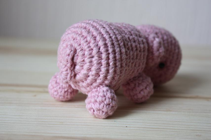 hippo pattern