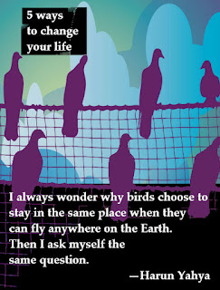 I always wonder why birds choose to stay in the same place when they can fly anywhere on the earth, then I ask myself the same question, quote by Harun Yahya
