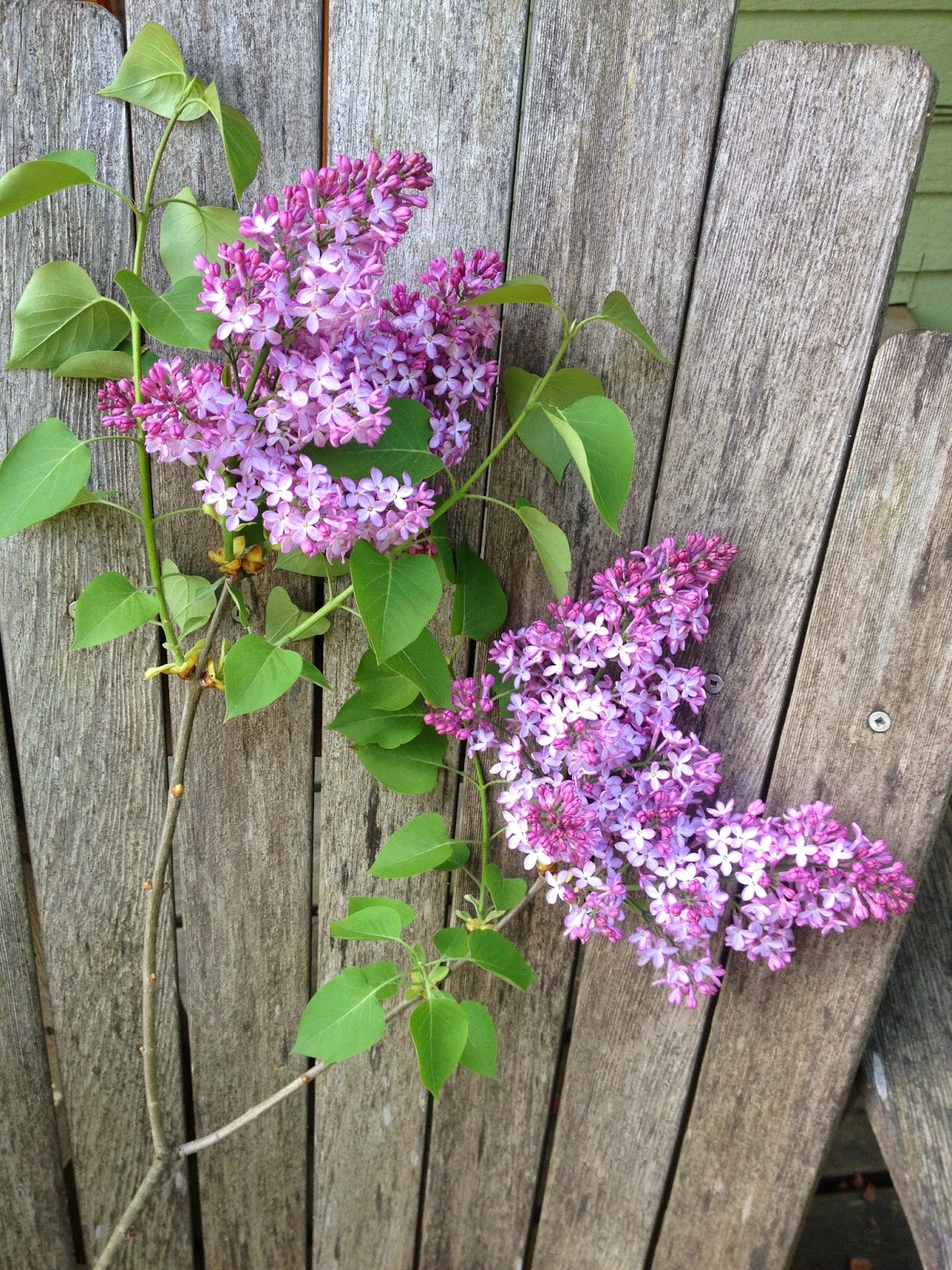 Jewel Box Making Nice Nice for the Register Guard Ode to Spring Flowers