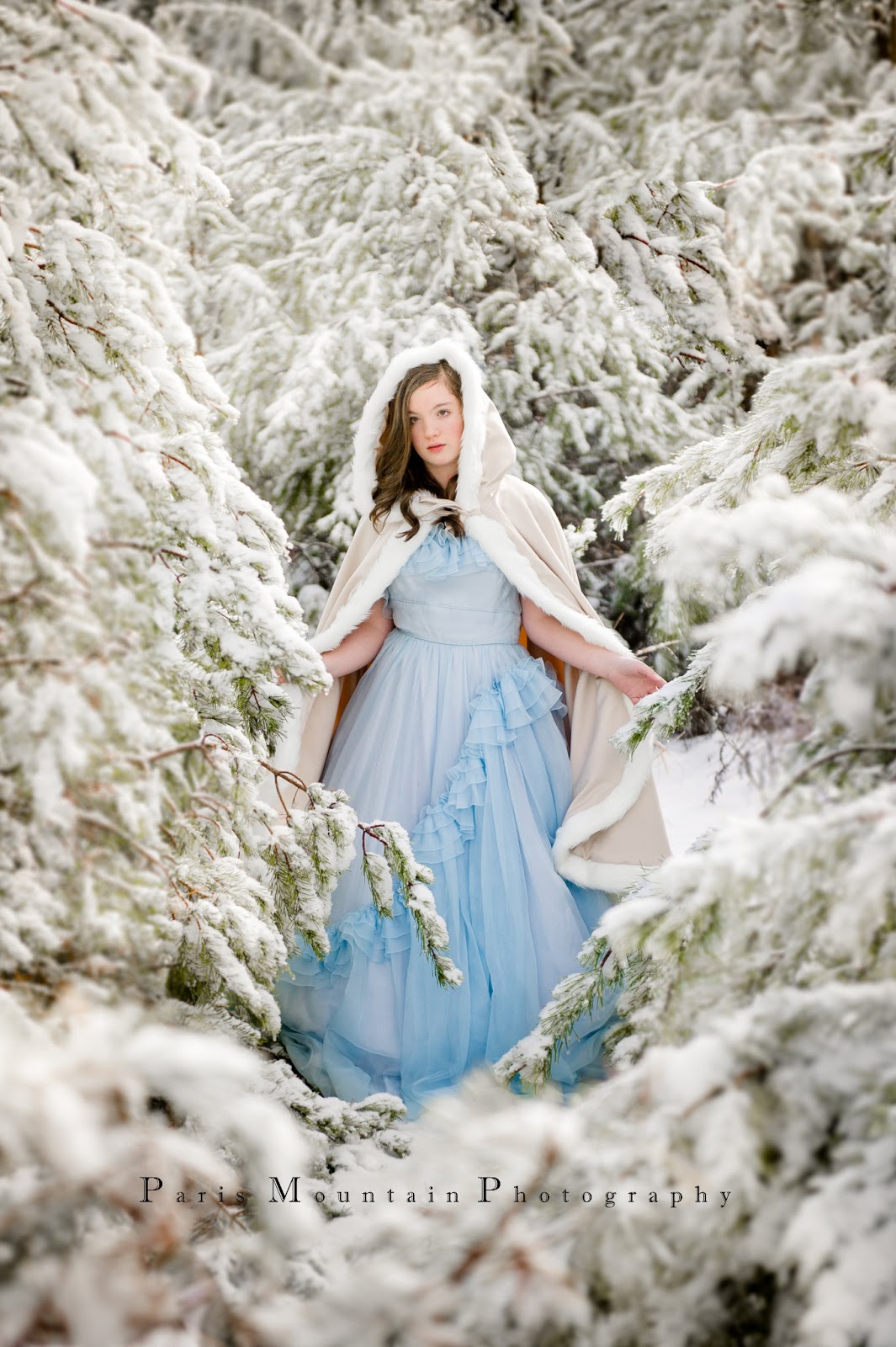 Paris Mountain Photography Blog Winter Wonderland Snow