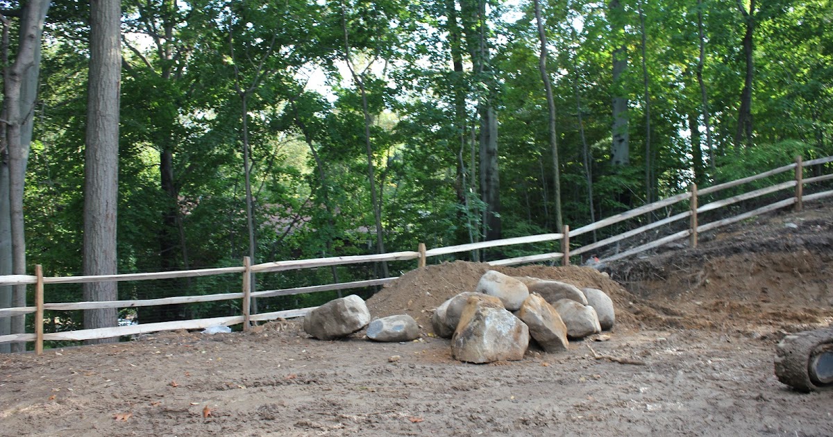 Gardening and Gardens: Backyard Renovation: Part 3 - The Fence