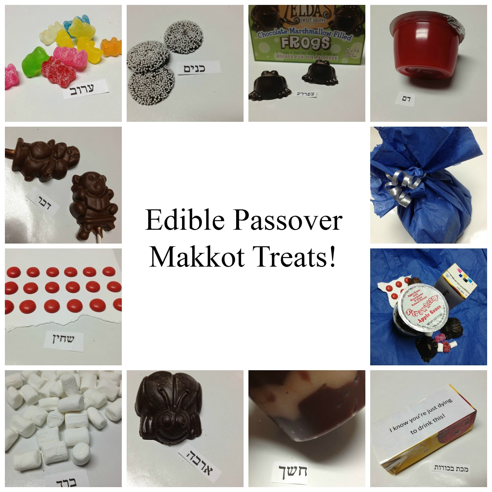 Not 2 Shabbey Edible Passover Makkot Treats