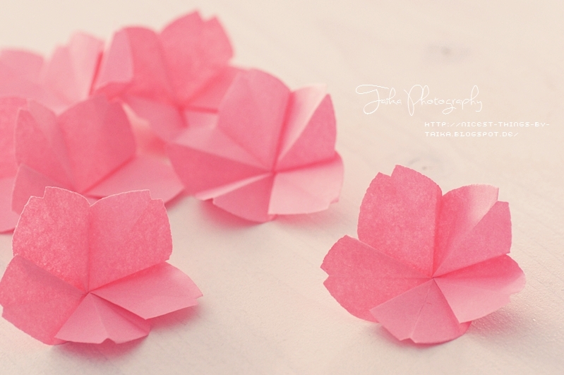 Origami Kirschblüten aus Papier falten