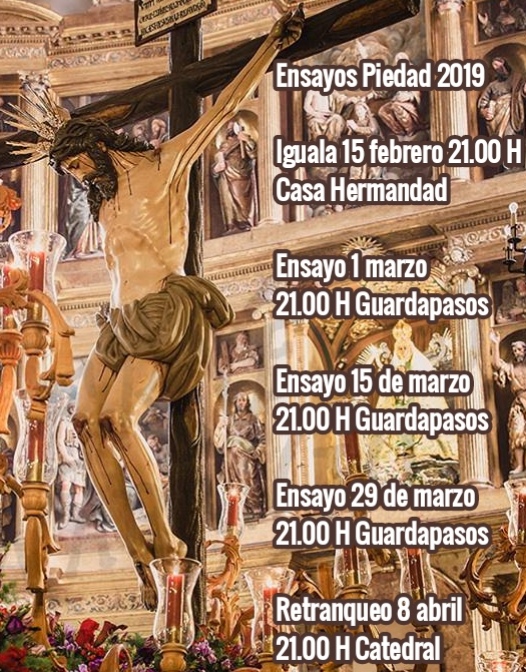 ENSAYOS PIEDAD 2019