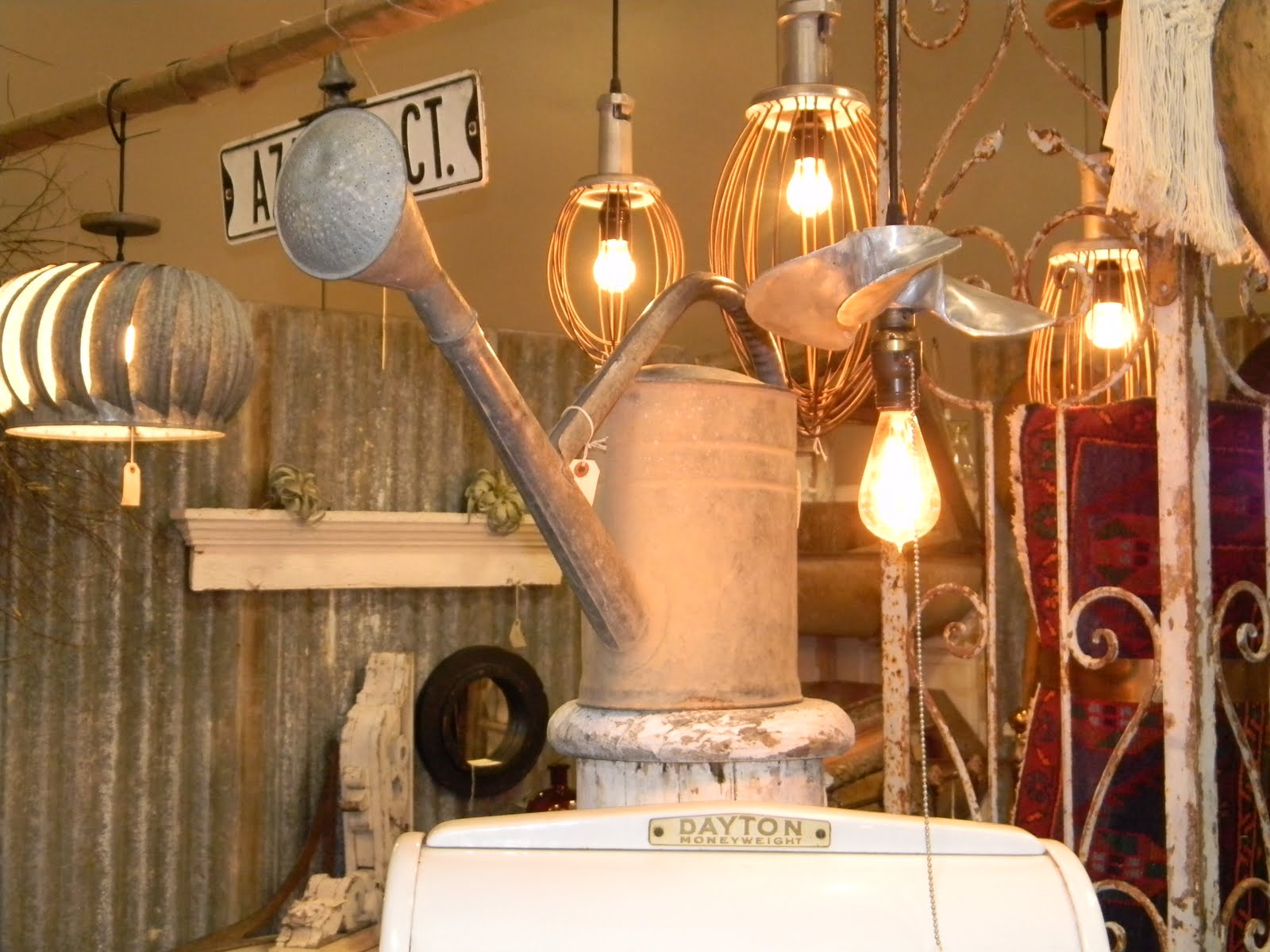 House Wren Nice and cool at the City Wide Garage Sale