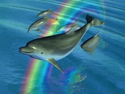 Rainbow Dolphin