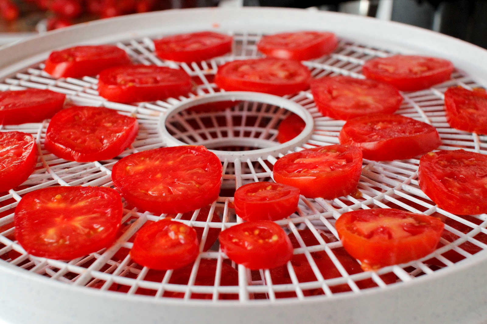 The Colors Of Indian Cooking "Sun Dried" Tomatoes. Fun With The Dehydrator