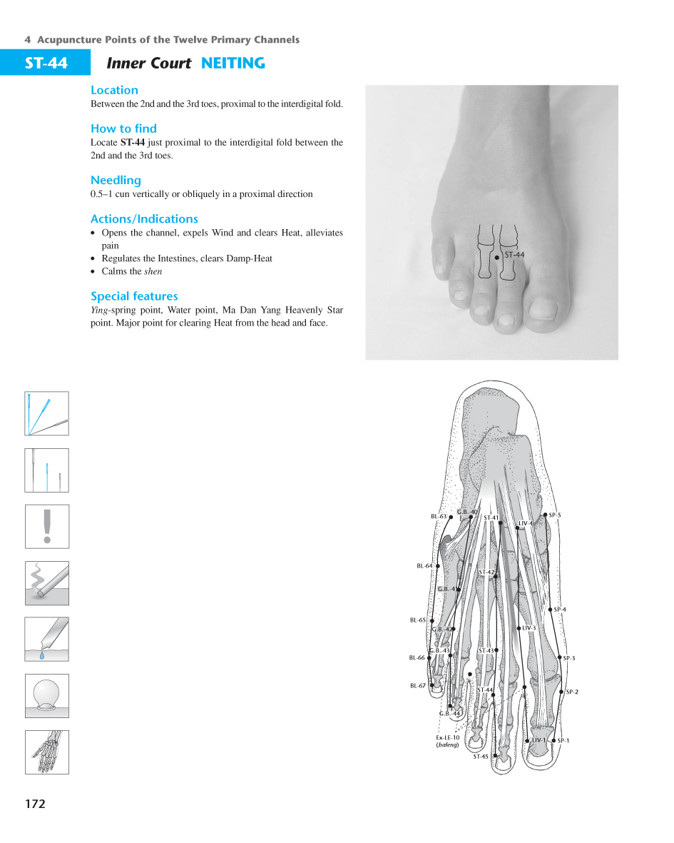 Acupuncture Masters Acupuncture Points Database Stomach channel