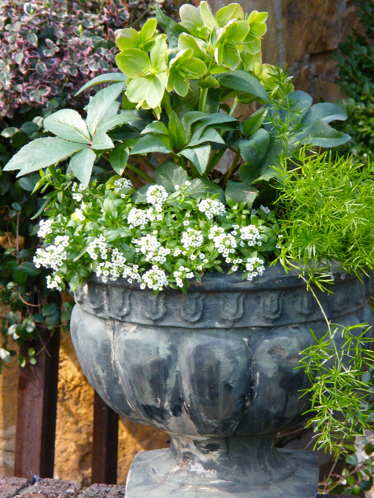 P O T A G E R Urn Plantings for Spring