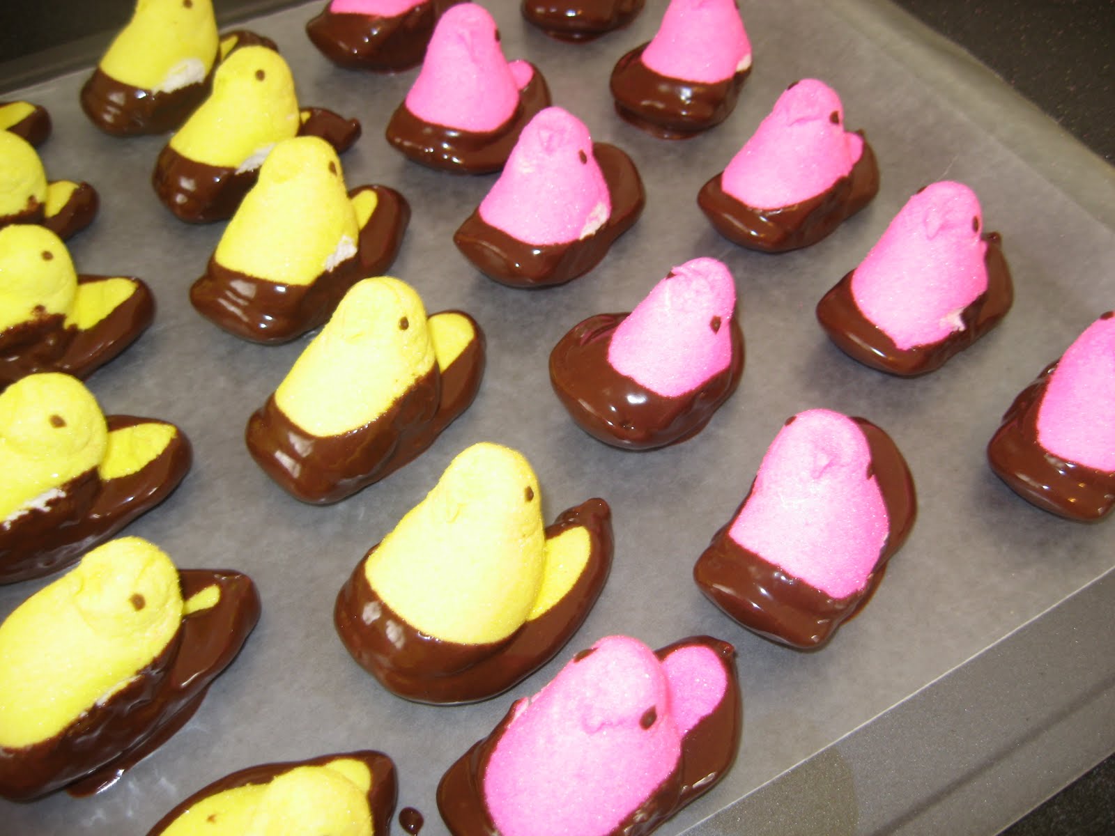 ChocolateDipped Peeps because Peep Brownies didn't work The