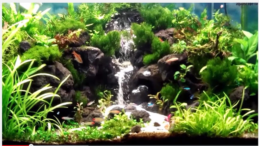 Nhận thi công hồ thủy sinh suối thác - 5