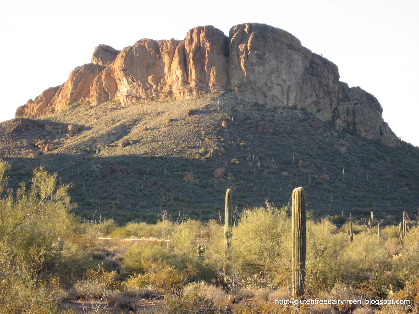 gluten free restaurants phoenix gluten free restaurants phoenix