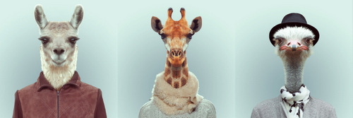 04-Artist-YAGO-PARTAL-Clothed-Animals-Lama-Giraffe-Ostrich