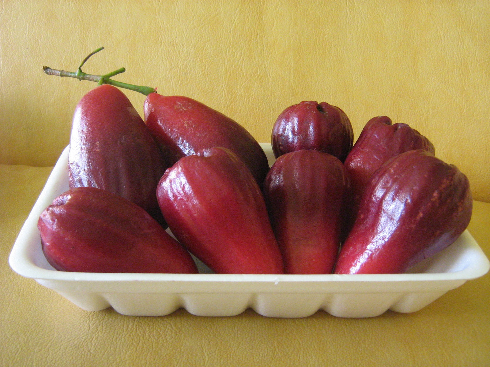 Bibit Buah Bunton Malang: Macam - macam Jambu Air