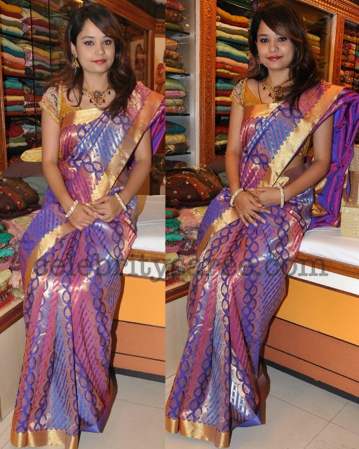 Purple South Indian Silk Saree