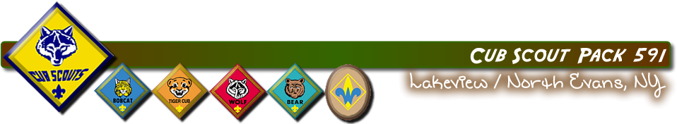 Cub Scout Pack 591