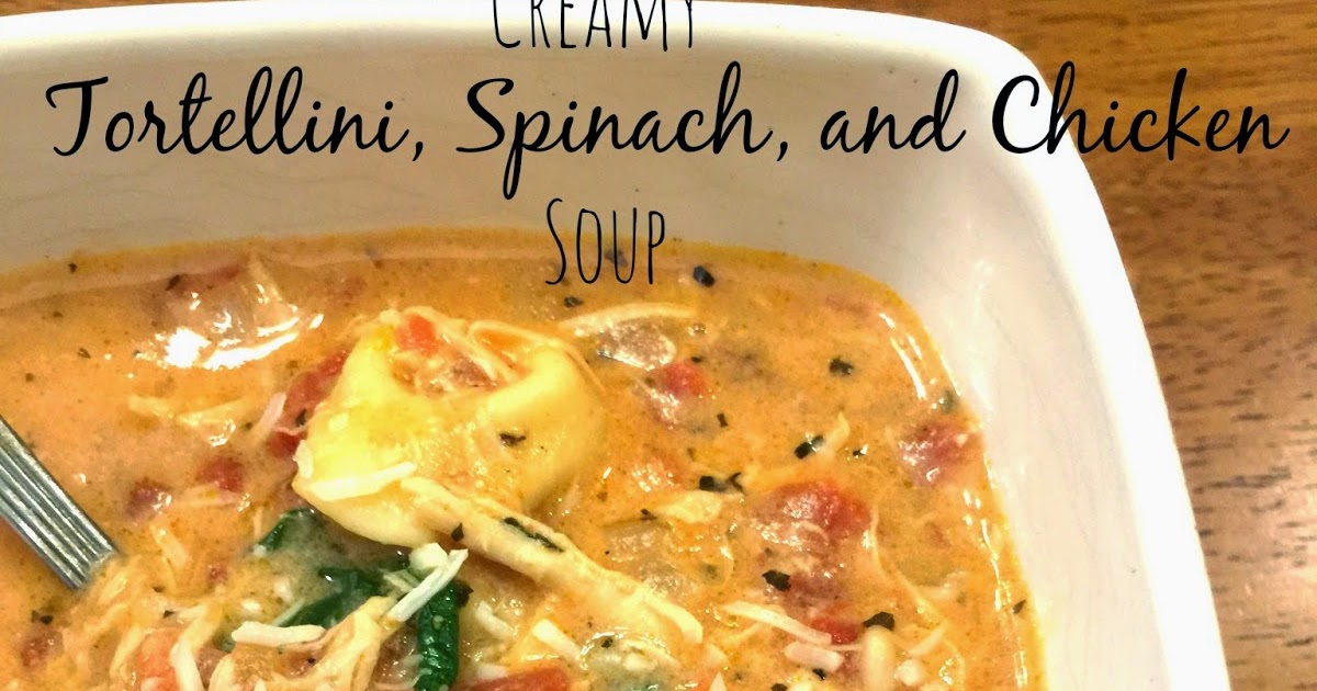 Destination Craft Slow Cooker Creamy Tortellini, Spinach and Chicken Soup