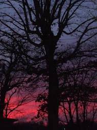 sunset twelve, march 2011
