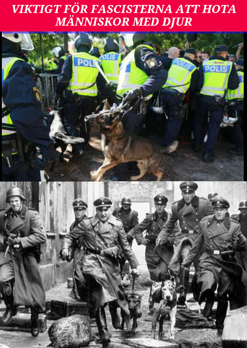 dejtingsajt för kriminella gäng