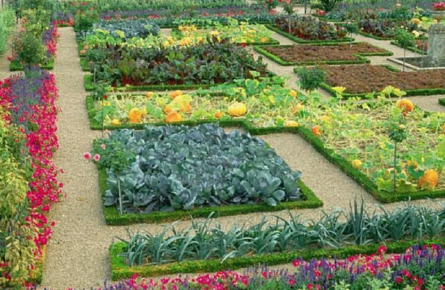 Home Gardening Flowers and Vegetables ideas - Freshnist Design