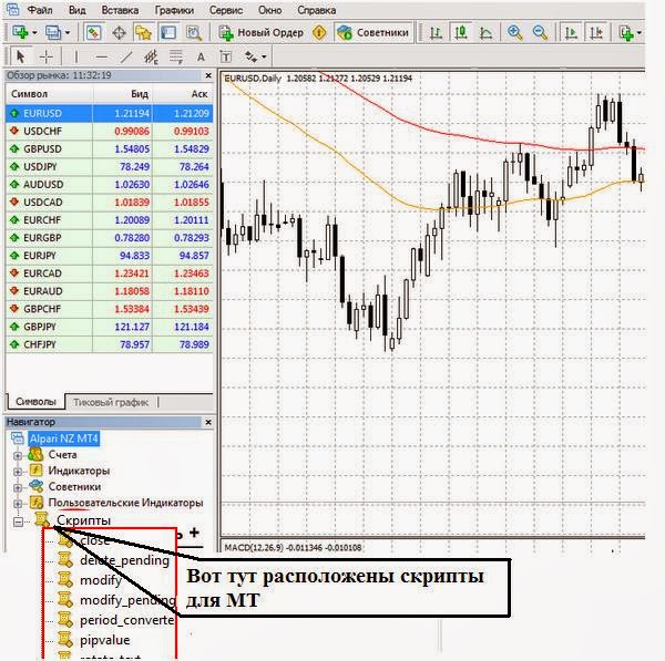 Script. Скрипты. Что такое скрипт Форекс. Как установить скрипт в терминал МТ4