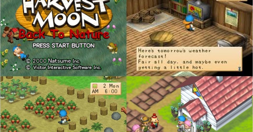 alat masak harvest moon back to nature 