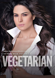 Veena Malik Magazine