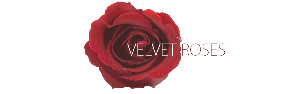 Velvet Roses