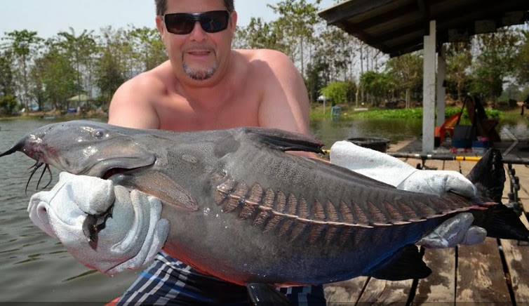 Big Fishes of the Worl...