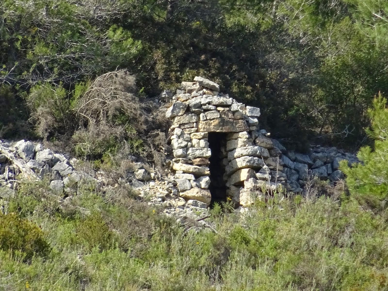 ESTA AL MIG DEL BOSC