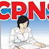 CPNS 2015 di Tiadakan