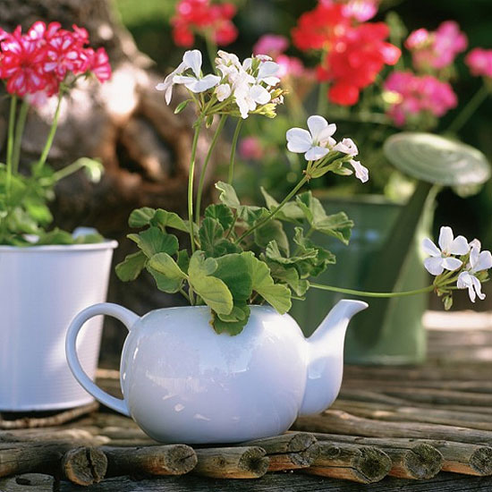 Dr. Dan's Garden Tips Using the Unusual