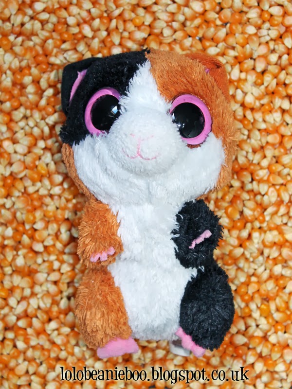 The adventures Lo Lo's Beanie Boos COLLECTION 3 Nibbles the Guinea Pig