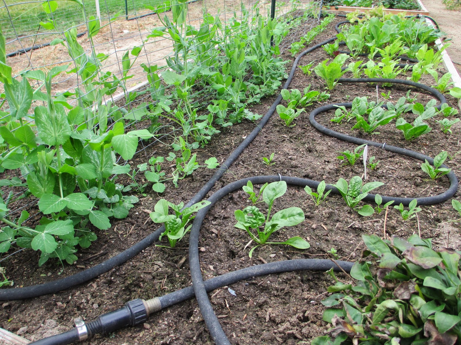 Andie's Way Irrigation System Soaker Hoses