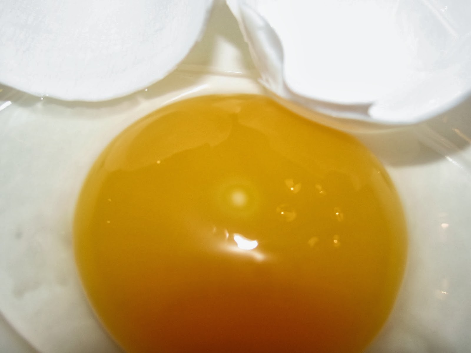 Gust Front Farm How We Monitor Fertility in Our Hatching Eggs