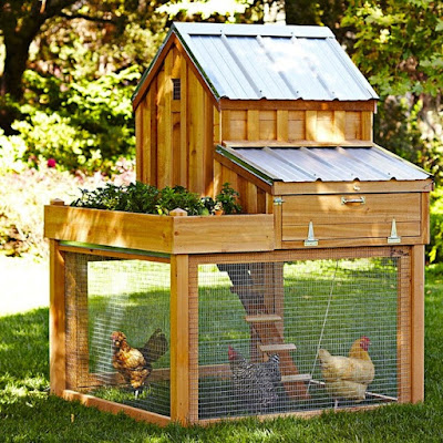 How To Build A Chicken Coop ALTERNATIVE TEXT
