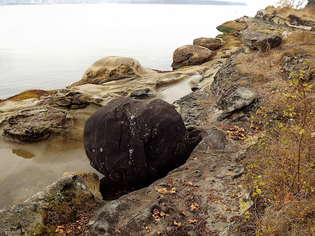  Large concretions on a sandstone beach (2012-10-17)