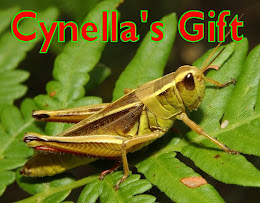 Cynella's Gift, e-Book Novel By Chuck Keyes