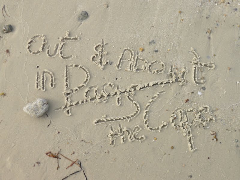 That Old Cape Magic! The Glass Onion in Falmouth