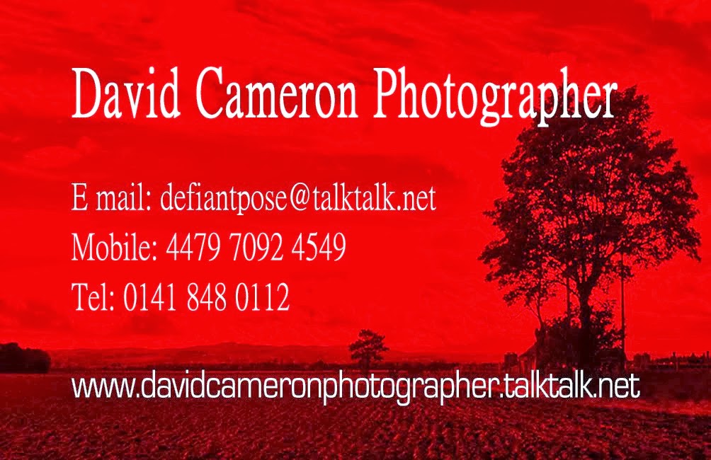David Cameron Photographer