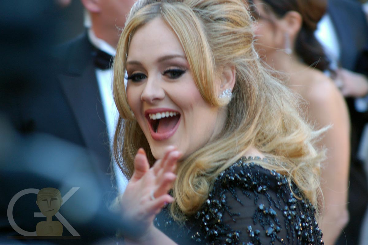 http://1.bp.blogspot.com/-RE2lwVCFBUQ/US7yMG3EiqI/AAAAAAAADdc/baDJoQsISDw/s1600/RedCarpet2013_Adele.jpg