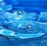 Agroalimenti E Dintorni