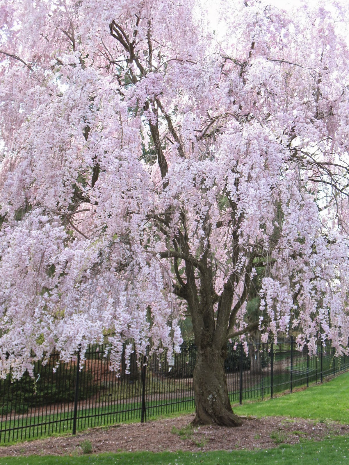 The Jersey Momma: Let's Visit Hershey Gardens: A Jersey Momma Review