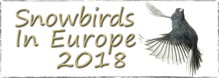 Snowbirds in Europe 2018