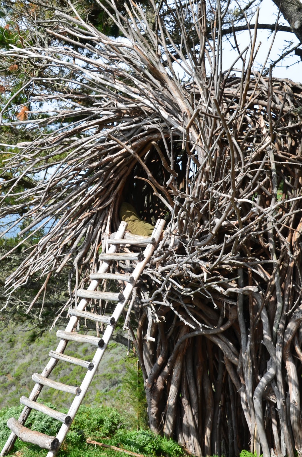 paradis express Human nest