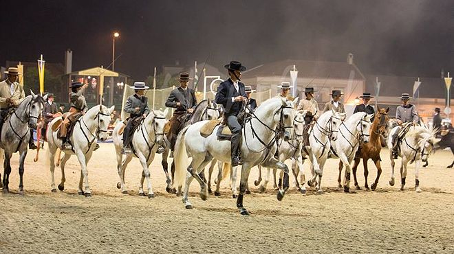 National Horse Fair, in Golegã