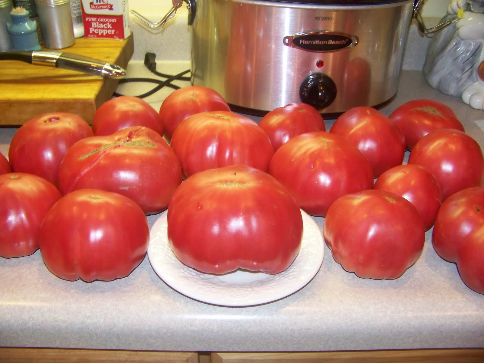 seed savers coupon code