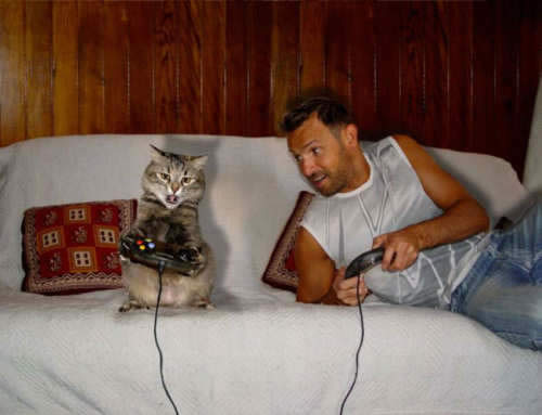 cat_playing_video_games_controller_ps3_wii_xbox360.jpg