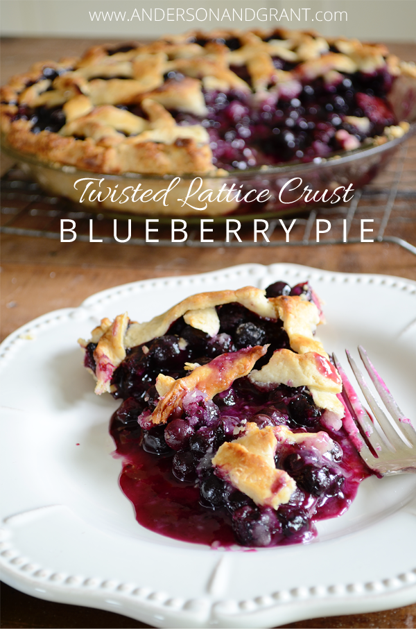 15 Blueberry Recipes on Diane's Vintage Zest!